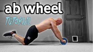 Ab Wheel For Beginners  Rollout Progression and Extra Exercises [upl. by Segal920]