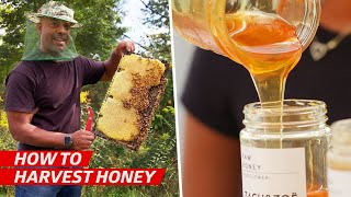 How a Family Business Became One of Americas Best Natural Honey Vendors — Vendors [upl. by Draneb]