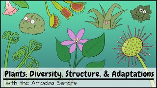 Plants Diversity Structure amp Adaptations [upl. by Teiv]