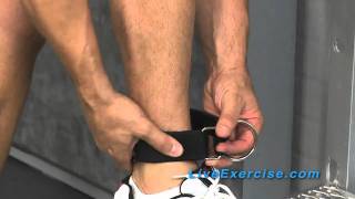 Bodylastics System Tip How to use your Ankle Strap [upl. by Anaela]