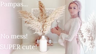 HOW TO Pampas Grass Prep amp Decorating [upl. by Anilys]