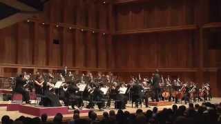 Brahms Symphony No 4  4th Movement [upl. by Leonanie86]