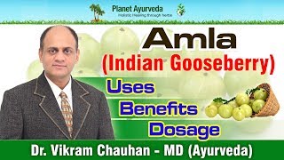 Amla Indian Gooseberry Benefits Uses Dosage amp Side Effects Amla Supplements Manufacturer [upl. by Akinehs]