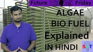 Algae Biofuel In HINDI Future Friday [upl. by Farrish]