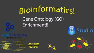 Bioinformatics  Gene Ontology GO Enrichment Analysis [upl. by Nueoras868]