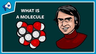 What Is a Molecule [upl. by Onivag998]