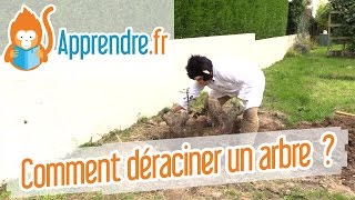 Comment déraciner un arbre [upl. by Garbers]