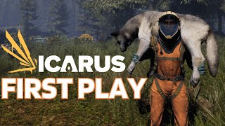 ICARUS START GUIDE [upl. by Adriane]