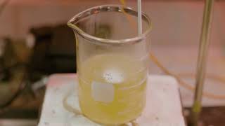 Making a Gelatin Emulsion [upl. by Eilyac]