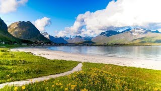 Uplifting Music  light positive happy music Gullrosøya  1 hour [upl. by Adierf]