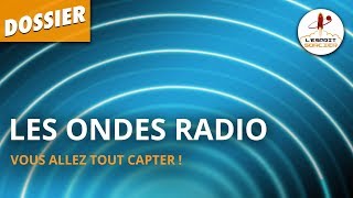 LES ONDES RADIO  Dossier 34  LEsprit Sorcier [upl. by Ravahs151]