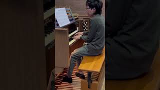 Vlog  Organ Music Learning amp Practice 24 Louis Vierne  Finale Symphony No1 Op14 [upl. by Meehan759]