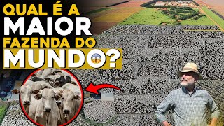 ESSA É A MAIOR FAZENDA DO MUNDO  Milhões de Hectares TOP 5 Maiores fazendas [upl. by Ninos]