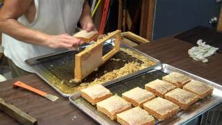 Cutting Comb Honey from the frames Honeybee Comb Honey [upl. by Thain]