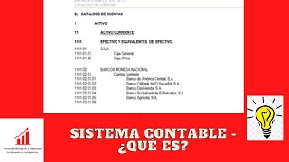 Sistema contable  ¿Qué es un sistema contable [upl. by Enilram238]