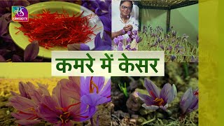 Smart Kheti कमरे में केसर  10 बाई 10 से 8 लाख  25 December 2022 [upl. by Hanas]