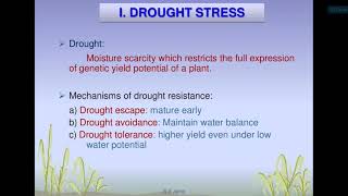 Breeding crop plants for biotic and abiotic stress resistance and climate change [upl. by Naomi]