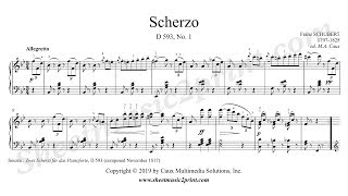 Schubert  Scherzo D 593 No 1 [upl. by Spanjian]