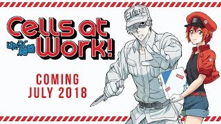 Cells at Work Trailer 1 [upl. by Assenal]