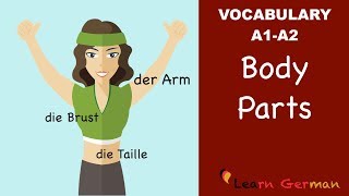 Learn German  German Vocabulary  die Körperteile  Body parts  der Körper  A1 [upl. by Hermina308]