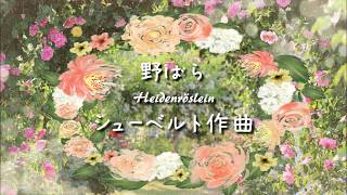 シューベルト 野ばら Heidenröslein【ドイツリート字幕で聴く歌曲】 [upl. by Hankins]