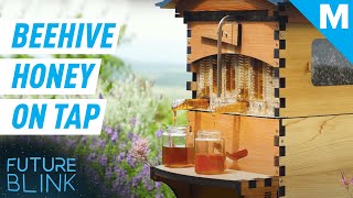 This Smart Beehive Harvests Honey Automatically  Future Blink [upl. by Wojcik384]