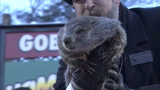 Groundhog Day 2021 Prediction Punxsutawney Phil sees his shadow [upl. by Vevina]