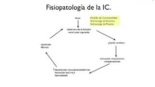 FISIOLOGÍA EL CORAZÓN COMO BOMBA Y SU SISTEMA DE CONDUCCIÓN [upl. by Zsamot144]