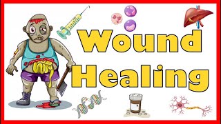 Wound Healing Mechanism Types Primary Secondary amp Tertiary intention of healing amp Complications [upl. by Kinghorn]