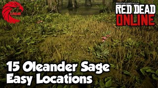 Oleander Sage Locations RDR2 Online  Red Dead Online Oleander Sage Location Guide [upl. by Quirk]