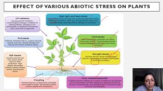 Transgenics for Resistance to Biotic and Abiotic stresses by Dr Purnima Seth [upl. by Photima]