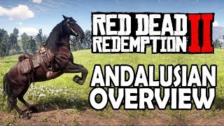 Andalusian Overview  Red Dead Redemption 2 Horses [upl. by Siuol]