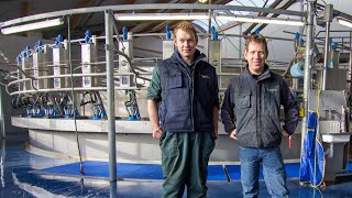 50 Point Rotary Milking Parlour Netherlands [upl. by Nnairet]