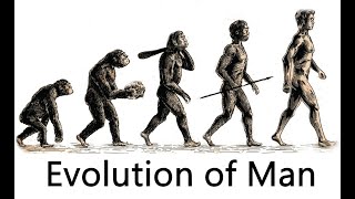 The Evolution of Man 7 million years ago  50000 years ago [upl. by Sinclare]