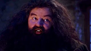 If Hagrid Had Stopped At The Wrong House First [upl. by Duester]