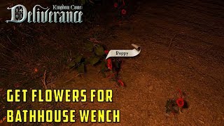 Where to get flowers for Klara the bathhouse wench  Next to Godliness Kingdom Come Deliverance [upl. by Pris]