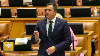 DA Leader John Steenhuisen in Parliament [upl. by Shum462]