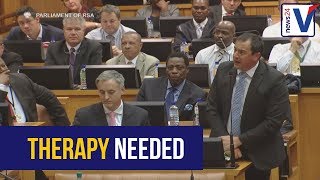 WATCH Steenhuisen to Mbete  you need therapy [upl. by Hamal]