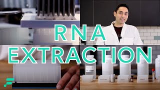 RNA Extraction Demonstration [upl. by Rochkind]