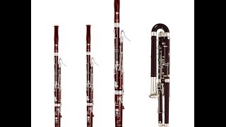 The Missing Bassoon [upl. by Geoffrey]