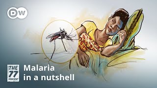 Malaria — Symptoms and treatment [upl. by Kenna]