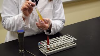 How to Inoculate a Slant  MCCC Microbiology [upl. by Vasilek]