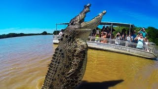 BIGGEST Crocodiles In The World [upl. by Cosenza]