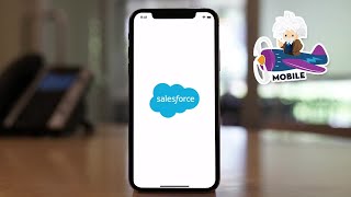 Salesforce Mobile App Demo [upl. by Keverian211]