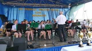 Młodzieżowa Orkiestra OSP Naprawa Echo  Trombity 2015 [upl. by Ahtnahc732]