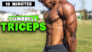 10 MINUTE LIGHTWEIGHT DUMBBELL TRICEP WORKOUT [upl. by Bobette]