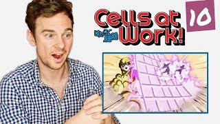 DOCTOR reacts to CELLS AT WORK  Episode 10  quotStaph Aureusquot [upl. by Martsen]