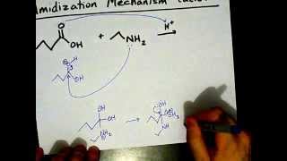 How to Make Amides Mechanism [upl. by Jermyn669]