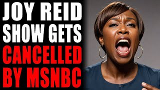 MSNBC Ends Joy Reid Show During Black History Month [upl. by Cindra126]