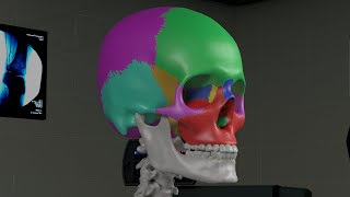 Chapter 1 Basic Sinus Anatomy [upl. by Dilly]